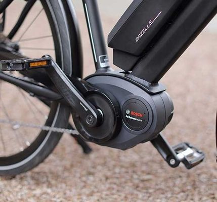 Bafang Central Motor 25KM/H 8.8AH Bateria de Lítio OEM CE Elétrica City Cargo Bike