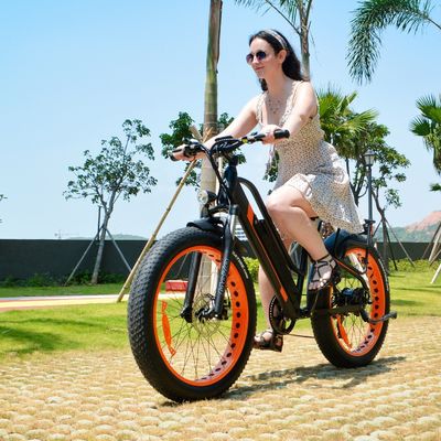 Tamanho da roda de 26" 48V 750W A2B CE UL2849 OEM EN15194 17AH Alumínio SNOW 4.0 Big Fat Tire Electric Hybrid Ebike