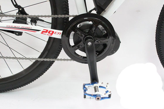 Alta Capacidade 29" 1000W 48V 17Ah Bateria de Lítio Bicicleta Elétrica de Montanha para Homens Adultos