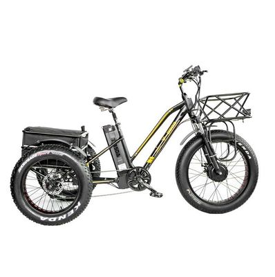 Freio a disco 750W Triciclo elétrico de carga pneu gordo 3 rodas E Trike para viagens de longa distância