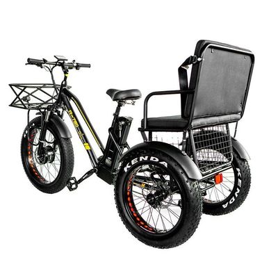 Freio a disco 750W Triciclo elétrico de carga pneu gordo 3 rodas E Trike para viagens de longa distância