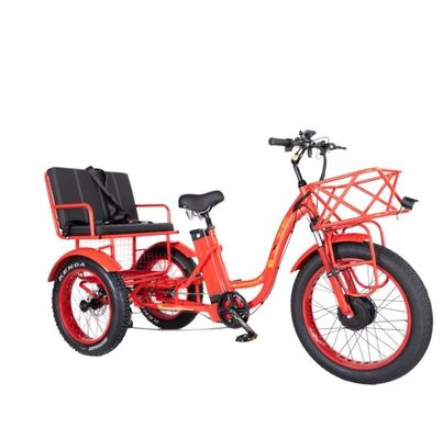 Freio a disco 750W Triciclo elétrico de carga pneu gordo 3 rodas E Trike para viagens de longa distância
