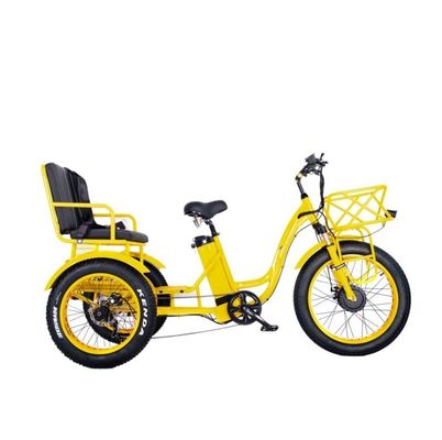 Freio a disco 750W Triciclo elétrico de carga pneu gordo 3 rodas E Trike para viagens de longa distância