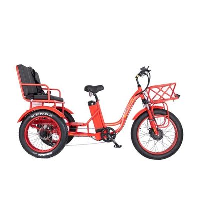 Freio a disco 750W Triciclo elétrico de carga pneu gordo 3 rodas E Trike para viagens de longa distância
