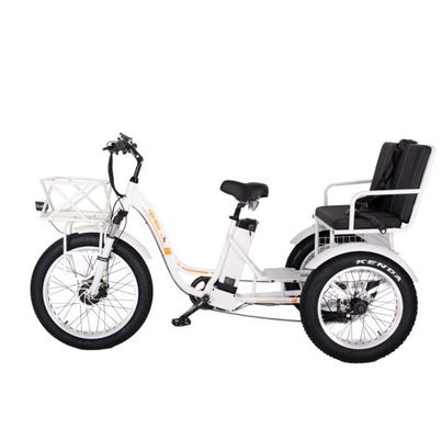 Freio a disco 750W Triciclo elétrico de carga pneu gordo 3 rodas E Trike para viagens de longa distância