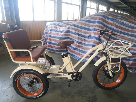 750W Central Motor Gordo Pneus Rickshaw Elétrico com porta de alumínio e assento do passageiro