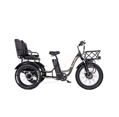 750W Central Motor Gordo Pneus Rickshaw Elétrico com porta de alumínio e assento do passageiro