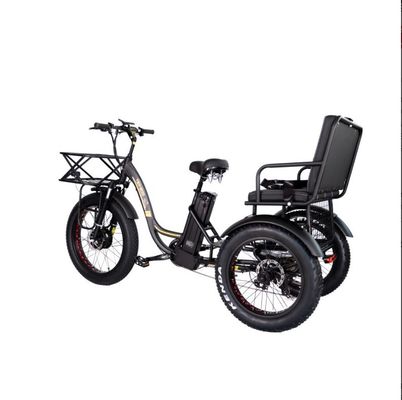48V E Trike 3 Wheel 750 Watt Fat Tire Rickshaw com Bafang 750W motor e desempenho