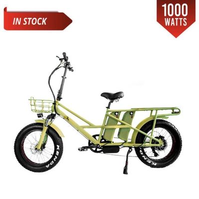Motor elétrico duplo de 48 V de 1000 watts Pneus de carga de carga com carga rápida