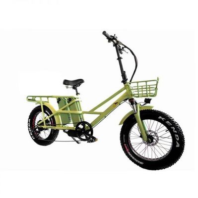 Motor elétrico duplo de 48 V de 1000 watts Pneus de carga de carga com carga rápida