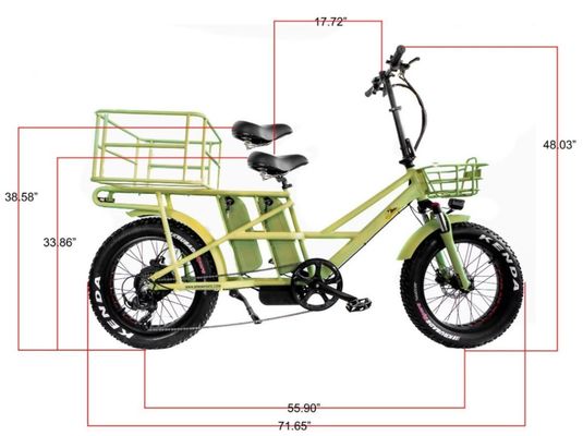 Motor elétrico duplo de 48 V de 1000 watts Pneus de carga de carga com carga rápida