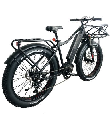 Mercado dos EUA EN15194 CPSC 48V 1000W 17AH bicicleta de montanha elétrica com motor médio Bafang