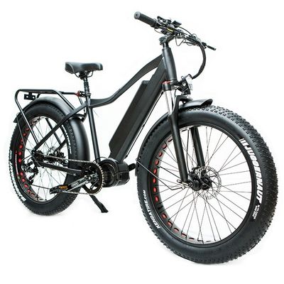 Mercado dos EUA EN15194 CPSC 48V 1000W 17AH bicicleta de montanha elétrica com motor médio Bafang