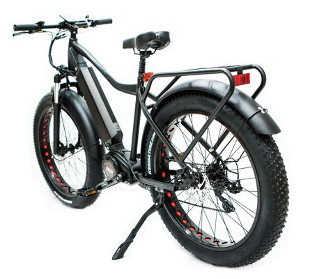 Mercado dos EUA EN15194 CPSC 48V 1000W 17AH bicicleta de montanha elétrica com motor médio Bafang