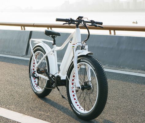 Mercado dos EUA EN15194 CPSC 48V 1000W 17AH bicicleta de montanha elétrica com motor médio Bafang