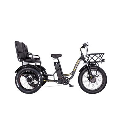 16.7 Ah Capacidade da bateria 750 W RICKSHAW ELÉTRICO TRICYCLE DE DEVÍO PESSOAL