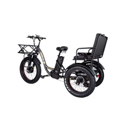 16.7 Ah Capacidade da bateria 750 W RICKSHAW ELÉTRICO TRICYCLE DE DEVÍO PESSOAL