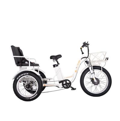 16.7 Ah Capacidade da bateria 750 W RICKSHAW ELÉTRICO TRICYCLE DE DEVÍO PESSOAL