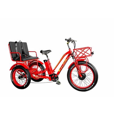 16.7 Ah Capacidade da bateria 750 W RICKSHAW ELÉTRICO TRICYCLE DE DEVÍO PESSOAL