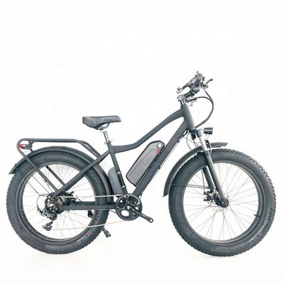 48V 1000W 17AH 50KM/H EUA OEM Pneus gordos personalizados Bicicleta de montanha elétrica para carga