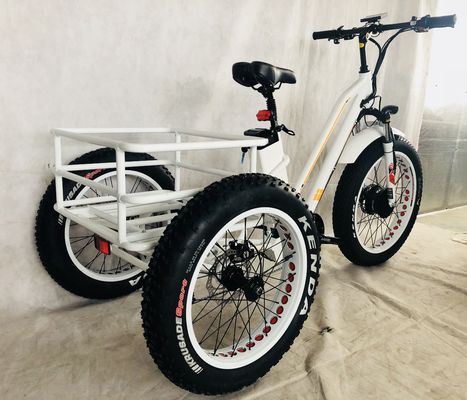 48V 14AH Cesto traseiro 4.0 pneu de neve triciclo elétrico de carga com certificação CE dos EUA