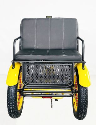 US Fat Tire Triciclo elétrico de passageiros com motor Bafang de 1000W e pedal de alumínio