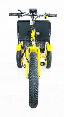 24 polegadas de pneu de neve 4.0 Triciclo de rickshaw elétrico com motor de 48V 750W e banco traseiro