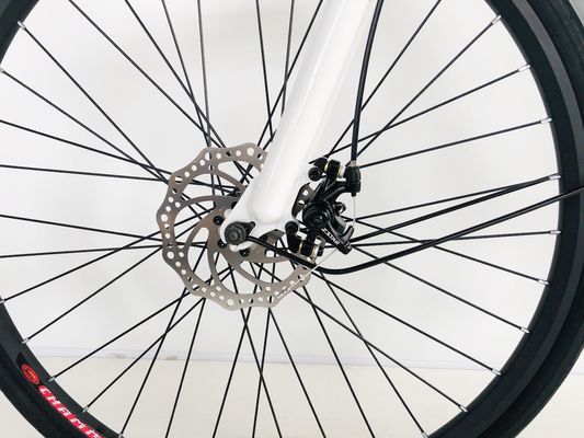 28 polegadas City Bike 36V250W Bateria de lítio 14AH EN15194 EN15194 para Mulheres Lady EUA Europa