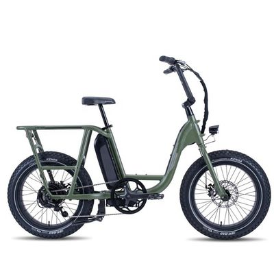 48V 1000W 32MPH Electric Hybrid Cargo Bike com 20 &quot;4.0 Fat Tire e Torque de 80-90 Nm