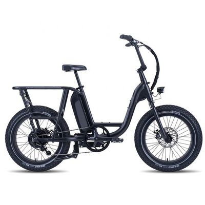 48V 1000W 32MPH Electric Hybrid Cargo Bike com 20 &quot;4.0 Fat Tire e Torque de 80-90 Nm