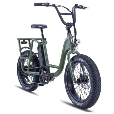 48V 1000W 32MPH Electric Hybrid Cargo Bike com 20 &quot;4.0 Fat Tire e Torque de 80-90 Nm
