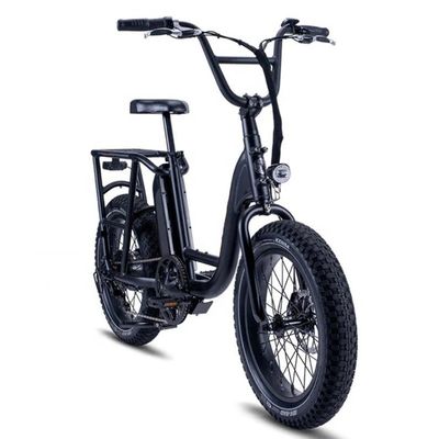48V 1000W 32MPH Electric Hybrid Cargo Bike com 20 &quot;4.0 Fat Tire e Torque de 80-90 Nm