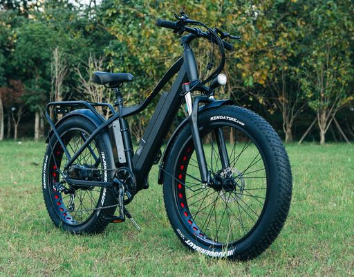 Melhor Bicicleta Elétrica de Pneus Gordos de 1000 W 26 &quot;Bicicleta Elétrica com Bateria de 17Ah