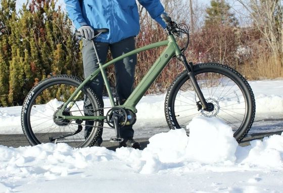 36V 350W EN15194 2007 Bicicleta elétrica de velocidade única com bateria de lítio de 10,41AH e PAS