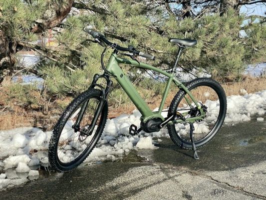 36V 350W EN15194 2007 Bicicleta elétrica de velocidade única com bateria de lítio de 10,41AH e PAS