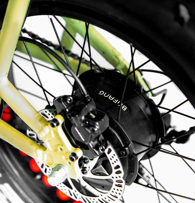 Quadro de liga de alumínio 48V34AH 1000W Ebikes de pneus gordos com duas baterias e dois cestos