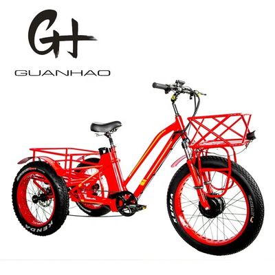 48V 750W Motor dianteiro 24 &quot;Triciclo elétrico adulto com bateria de lítio de 17AH e pneus de neve gordos