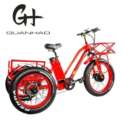 48V 750W Motor dianteiro 24 &quot;Triciclo elétrico adulto com bateria de lítio de 17AH e pneus de neve gordos