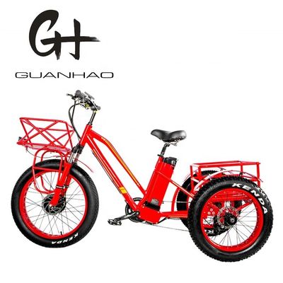 48V 750W Motor dianteiro 24 &quot;Triciclo elétrico adulto com bateria de lítio de 17AH e pneus de neve gordos