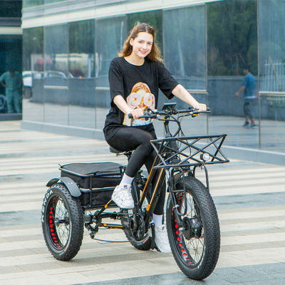 48V 750W Motor dianteiro 24 &quot;Triciclo elétrico adulto com bateria de lítio de 17AH e pneus de neve gordos