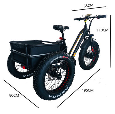 48V 750W Motor dianteiro 24 &quot;Triciclo elétrico adulto com bateria de lítio de 17AH e pneus de neve gordos