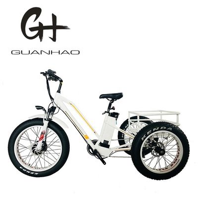 Tipo de corpo aberto 24 polegadas 20 polegadas BAFANG Motor dianteiro triciclo elétrico para adultos 48V21AH 750W