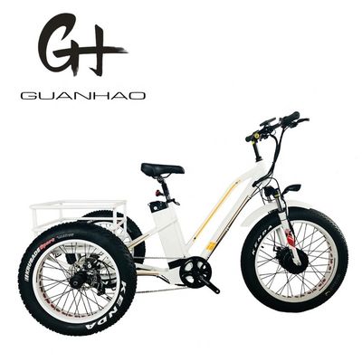 48V21AH Bateria CE Mercado dos EUA 750W 8FUN Motor dianteiro 24-20 polegadas 3 rodas pneu gordo Rickshaw elétrico