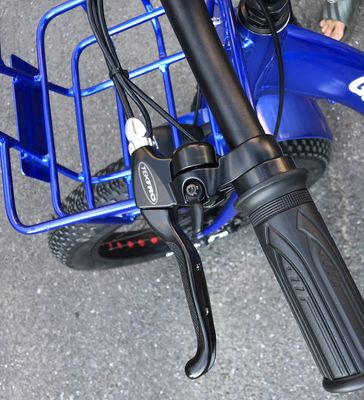 Conduzindo Tipo Elétrico 24&quot;x4.0 Fat Tire Triciclo Elétrico de Carga com Motor de 48V 1000w