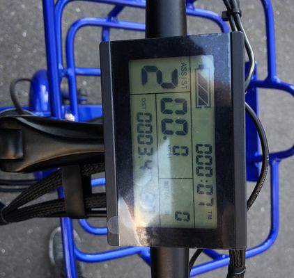 Conduzindo Tipo Elétrico 24&quot;x4.0 Fat Tire Triciclo Elétrico de Carga com Motor de 48V 1000w