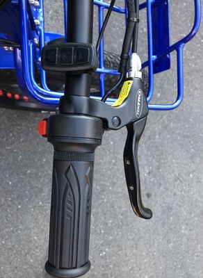 Conduzindo Tipo Elétrico 24&quot;x4.0 Fat Tire Triciclo Elétrico de Carga com Motor de 48V 1000w