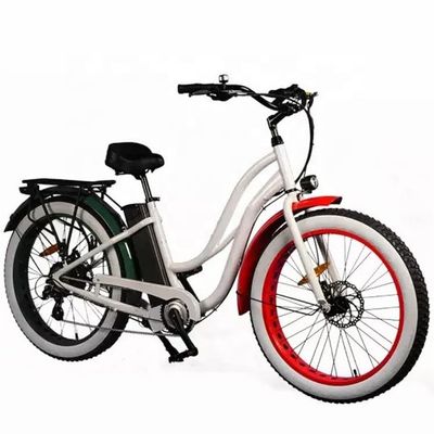 26&quot; Women Frame 17AH Bateria de Lítio 1000W Cargo Elétrico 48V Bicicleta Elétrica da Cidade