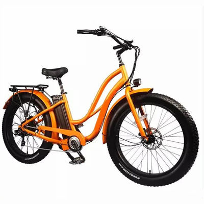 26&quot; Women Frame 17AH Bateria de Lítio 1000W Cargo Elétrico 48V Bicicleta Elétrica da Cidade