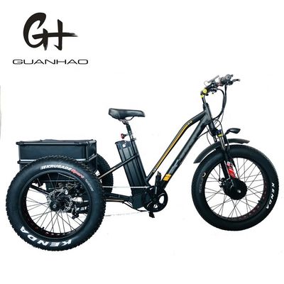 EUA 24&quot;20&quot; Bafang motorizado 8fun 750W 48V 17a Adultos 3 rodas Cargo Ebike Triciclo elétrico