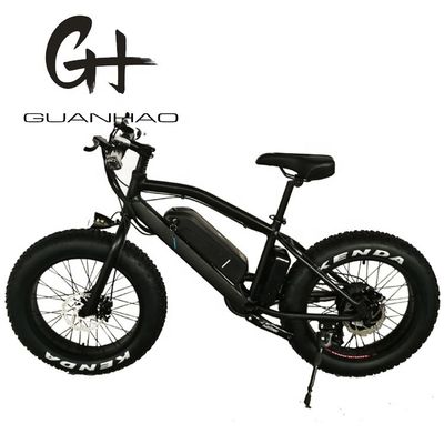 750W 20inch Fat Tire Mini Mountain Electric Bike ZOOM Stem Range por Potência 10-30 km